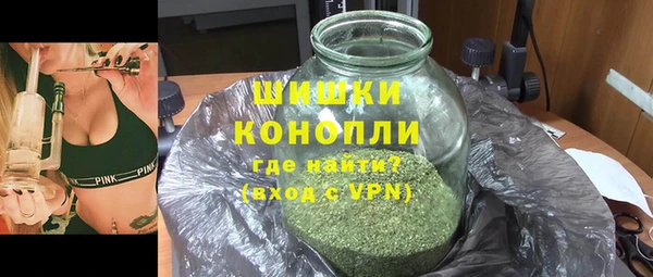 индика Бугульма