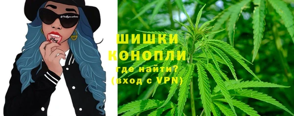 стаф Бородино