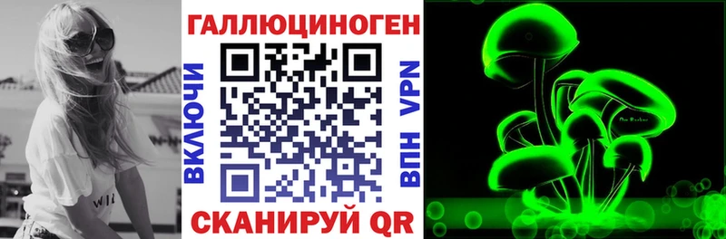 наркотики Завитинск блэк спрут сайт Псилоцибиновые грибы GOLDEN TEACHER